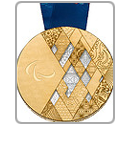 Sochi 2014 Medals Icon