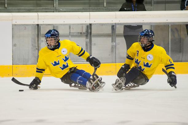 Sweden's ice sledge hockey team Sweden's ice sledge hockey team