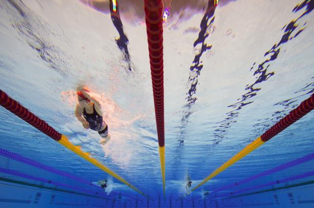 Under water shot, leads the pack