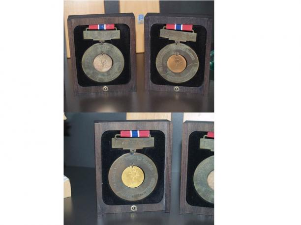 Lillehammer 1994 Paralympic Winter medals