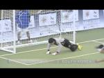 2010 IBSA Football 5-a-side World Championships 2010 - Day 5 - Paralympic Sport TV