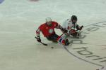 Ice Sledge Hockey Athletes practicing