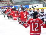 USA ice sledge hockey team