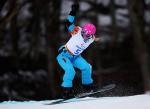 Cecile Hernandez-Cervellon snowboards down the course at Sochi 2014.
