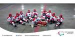 Austrian team Ice sledge hockey