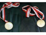 Innsbruck 1984 Paralympic Winter medals