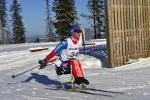 A picture of a woman in a sledge skiing