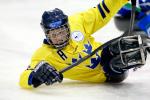 Swedens ice sledge hockey team