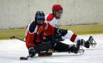 Ice sledge hockey teams arrive for C-Pool Worlds