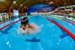 Swimmer doing breaststroke