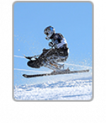 Para alpine skiing icon