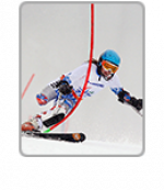 Para alpine skiing icon