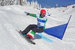 The 2017 World Para Snowboard Championships was held in Big White, Canada, between 1-8 February.