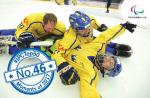 Para ice hockey players celebrate on the ice