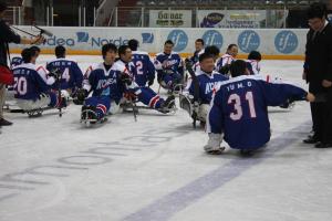 Korea Ice Sledge Hockey