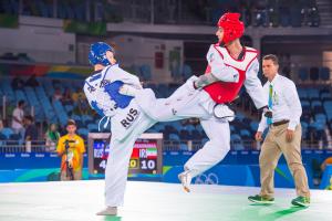 Mahdi Pourrahnamaahmad - Taekwondo Mahdi Pourrahnama- Paralympic Athlete