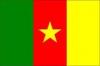 Cameroon flag