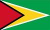 Guyana flag